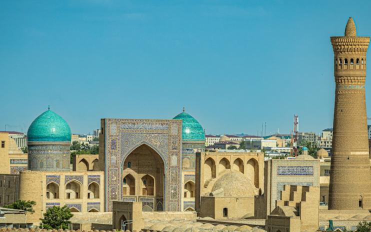 The Bukhara Chronicle
