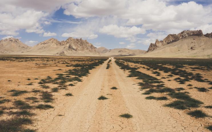 The Steppe & The Stars